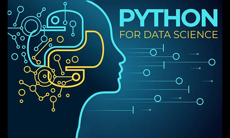 Dominando Python: a linguagem por trás da revolução da IA e da ciência de dados